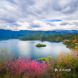 会把小白花送到离它根叶很远很远的地方