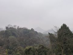 -青城山