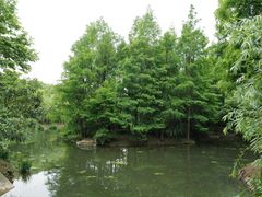 -上海滨江森林公园