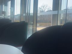 -李沧绿城喜来登酒店大堂吧