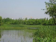 -暨阳湖生态园
