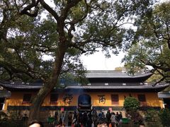 -普陀山风景名胜区-法雨禅寺