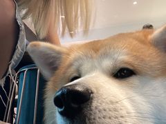 -BOCATA 西班牙餐厅(三里屯店)