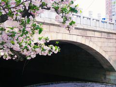 -海棠花溪(元大都城垣遗址公园)