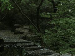 -夏津德百度假村温泉