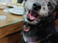 -木萨火锅店(开鲁路店)