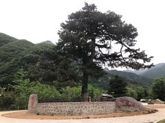 -秦岭终南山世界地质公园翠华山景区