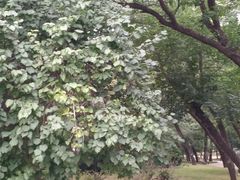 -元大都城垣遗址公园