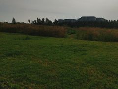 -瑶湖郊野森林公园