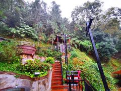 -广东天露山旅游度假区