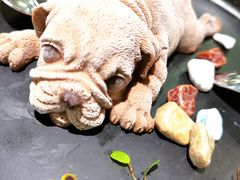 网红沙皮狗-吉旺港式餐厅(南方商城店)