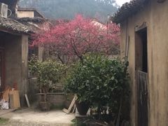 iphone_upload_pic-前童古镇