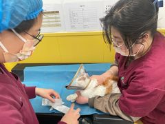 -瑞派·爱瑞可动物医院·口腔专科(广华新城分院)