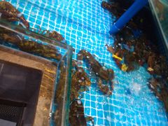 -良师门滨海人家·海鲜·家常菜(滨海城店)