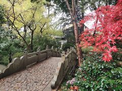 -汇龙潭