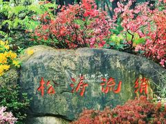 -临平公园(临平街道)