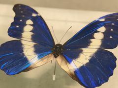 -青藏高原自然博物馆