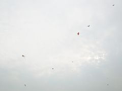 -杭州城北体育公园