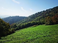 -敬亭山风景名胜区