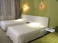 IMG_2940-深圳东部华侨城瀑布酒店