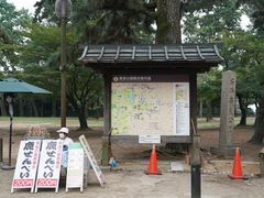 -奈良公园