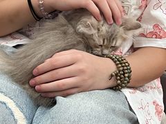 -袖虎·猫馆(体育西路店)