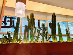 -川越泰火锅(吉利大厦店)