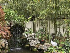 -上海醉白池公园