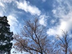 景点-景山公园