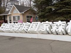 -日照海滨国家森林公园