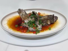 鲜花椒蒸油斑鱼-金满楼(天河中路店)