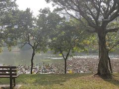 -华南师范大学(广州大学城校区)