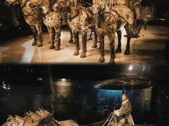 -秦始皇帝陵博物院(兵马俑)