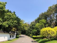 -深圳国际园林花卉博览园