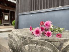 -真如寺