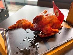 玻璃脆皮乳鸽-羽鸽集·乳鸽专门店·地道顺德菜(岭南站店)