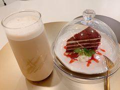 -飞行喵MR PILOT|猫舍·猫咖(静安大融城店)