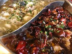 -猫姑娘大盘鸡(商城路店)