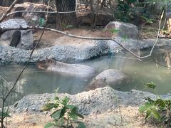 -红山森林动物园