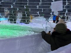 -宁波冰雪大世界(北仑区)