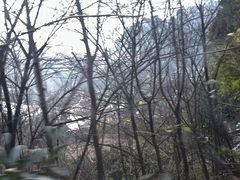 -南山植物园