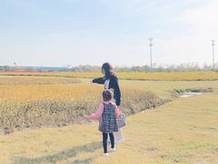 -映月湖中央公园