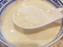 招牌姜撞奶-捷信牛奶甜品世家(五道口店)