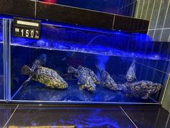 -真浪花园海鲜餐馆