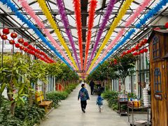 -南宫五洲植物乐园