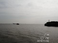-大湾区中央湿地公园