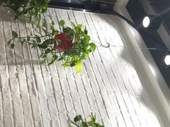 -权味·朝鲜族拌饭(勒泰店)