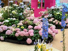 -上海长风大悦城