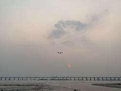 -宝安西湾红树林湿地公园