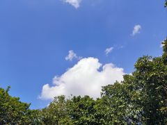 -海口火山口国家地质公园
